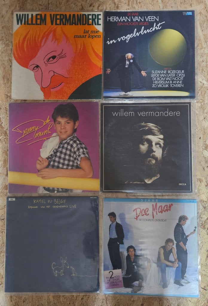 Vinyl, Cd's en Dvd's, Vinyl | Rock, Ophalen of Verzenden