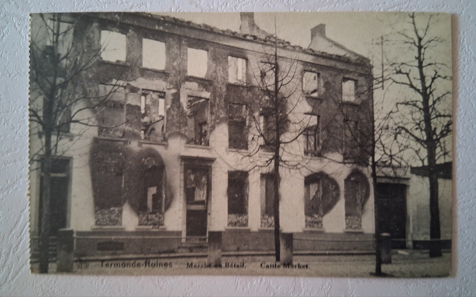 vintage Postkaart ruïnes Dendermonde, Verzamelen, Ophalen of Verzenden