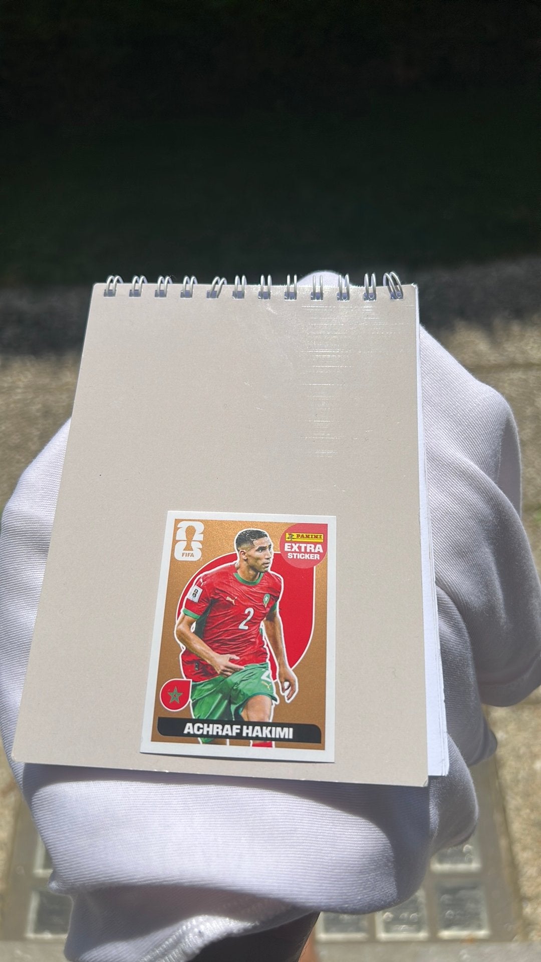 Panini Hakimi GOLD-kaart, Verzamelen, Sportartikelen en Voetbal, Ophalen, Zo goed als nieuw