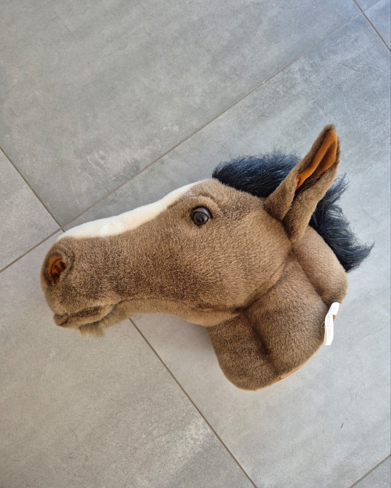 Bibib paardenkop donkerbruin, Ophalen