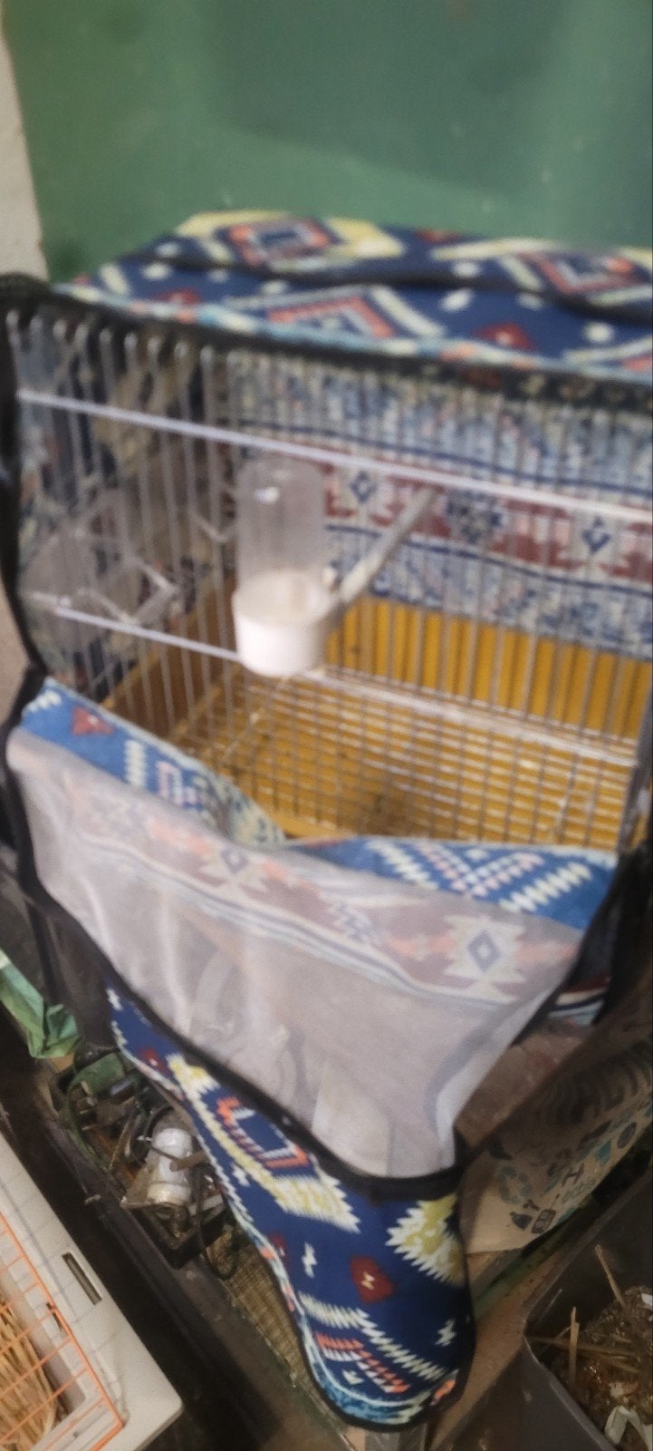 cage de chant algérienne, Enlèvement ou Envoi, Comme neuf