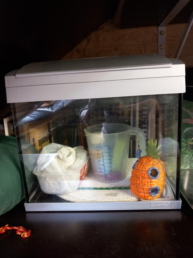Aquarium, Dieren en Toebehoren, Vissen | Aquaria en Toebehoren, Ophalen