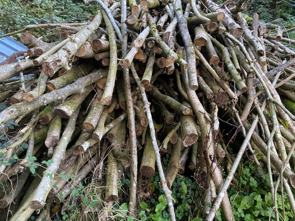 Bois de chauffage, Ophalen