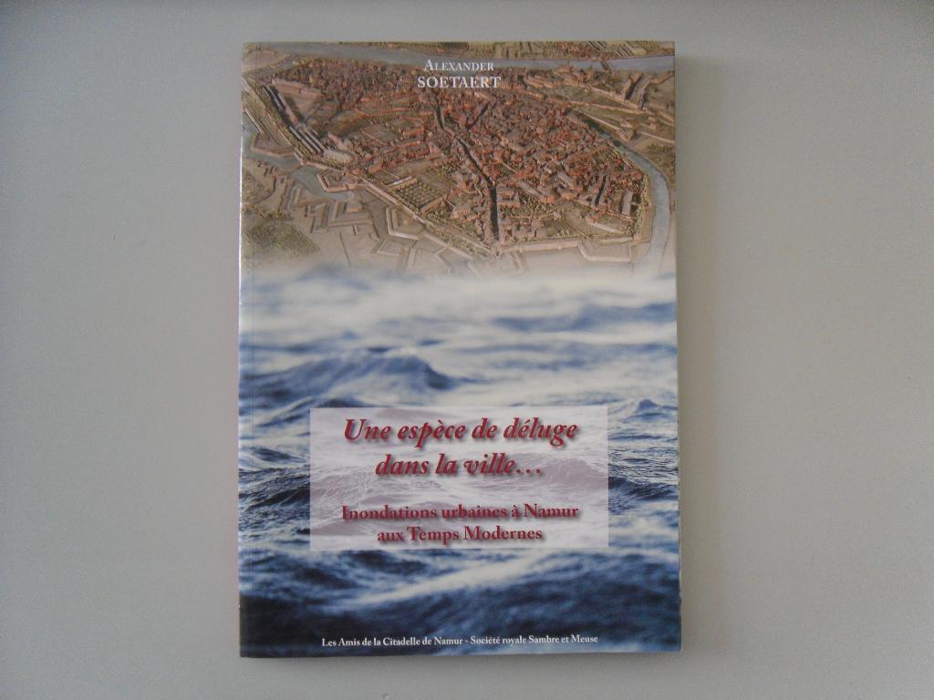 Une espèce de déluge dans la ville… Inondations urbaines à.., Livres, Enlèvement ou Envoi, Utilisé, Alexander SOETAERT