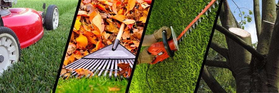 Entretien de votre jardin, Enlèvement, Comme neuf