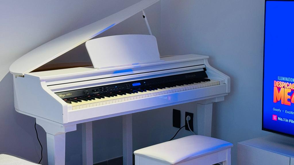 DELSON Melody1 & Melody2 – Elektronisch muziek, Ophalen, Zo goed als nieuw