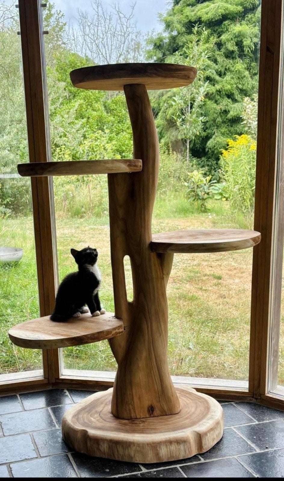 Arbre à chat en teck et bois de suar pour intérieur et extér, Enlèvement, Neuf, Griffoir