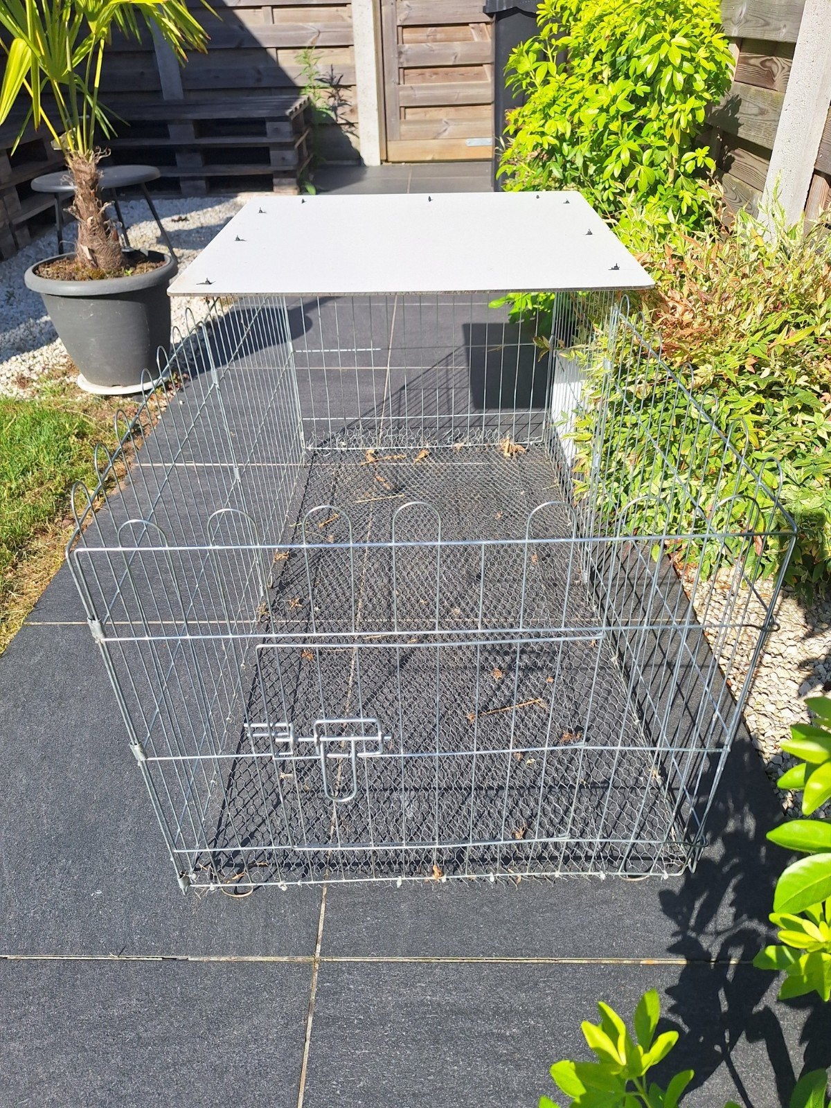 Konijnenren, Dieren en Toebehoren, Ophalen