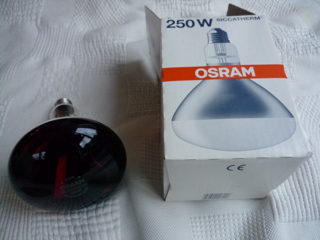Lampe Infrarouge pour animaux - NEUVE, Enlèvement ou Envoi, Neuf