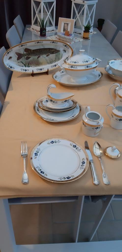 Vaisselle principale décorative en porcelaine De Limoges, Enlèvement