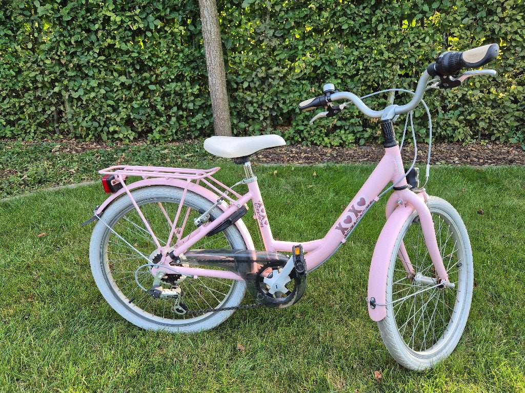 Meisjesfiets  22 inch - Bike Fun Kids Lots of Love, Fietsen en Brommers, Ophalen, 20 inch of meer, Gebruikt, Velgrem