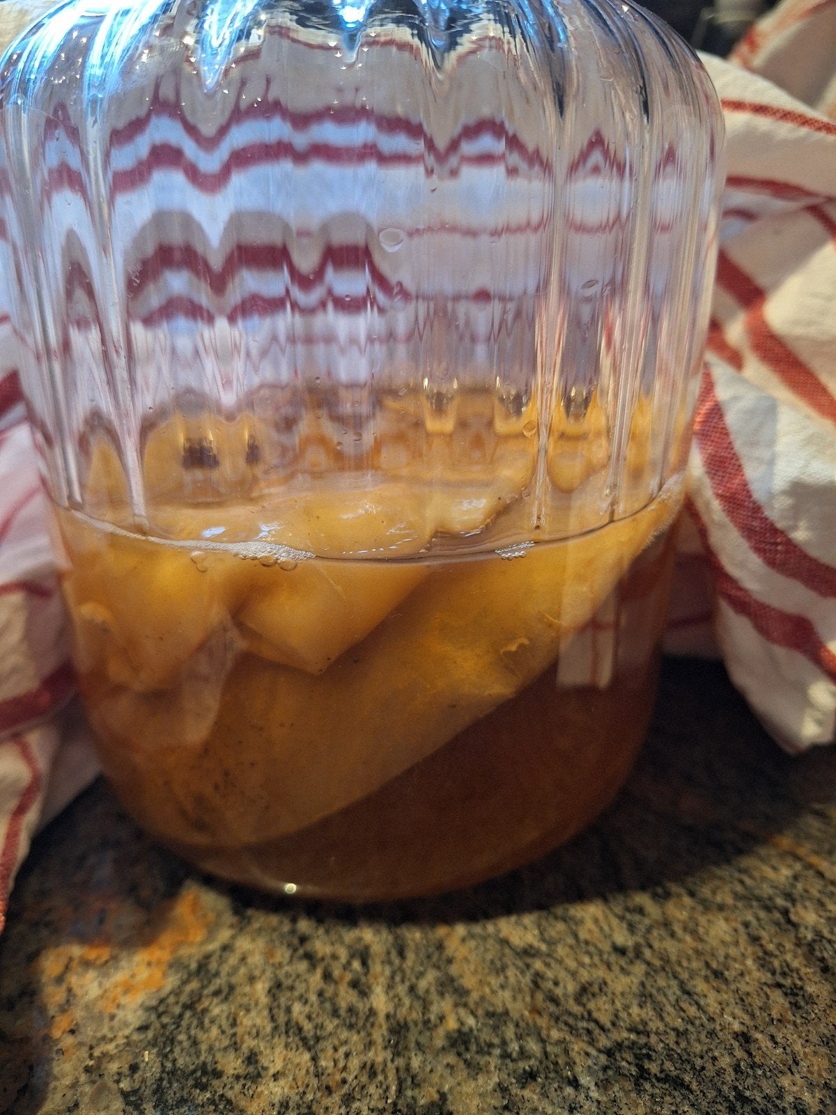 Kombucha starter + scoby, Diversen, Ophalen