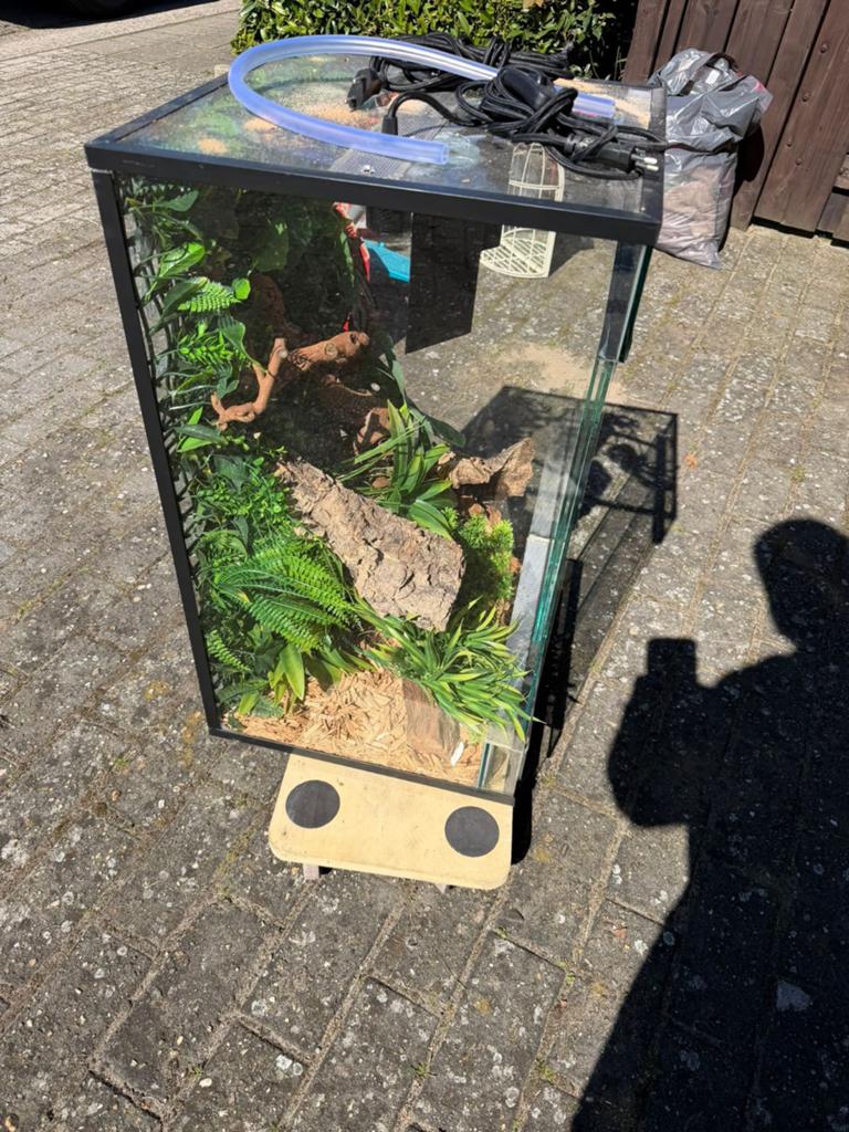 Terrarium, Dieren en Toebehoren, Ophalen
