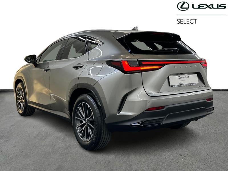 Lexus NX 350h Executive Line + HUD, Autos, Lexus, Achat, 2487 cm³, Autres couleurs, 5 portes