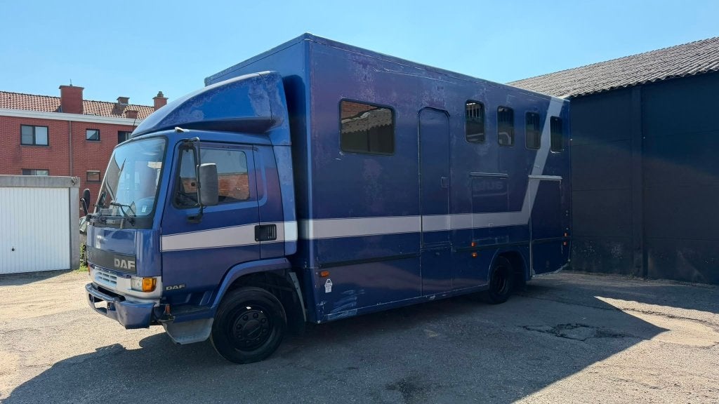 DAF Paarden Camionette, Achat, Entreprise, Boîte manuelle, Diesel
