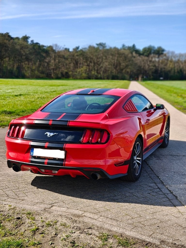 Ford Mustang 2015 ecoboost 2.3 USA, Auto's, Automaat, Achterwielaandrijving, Xenon verlichting, 4 cilinders