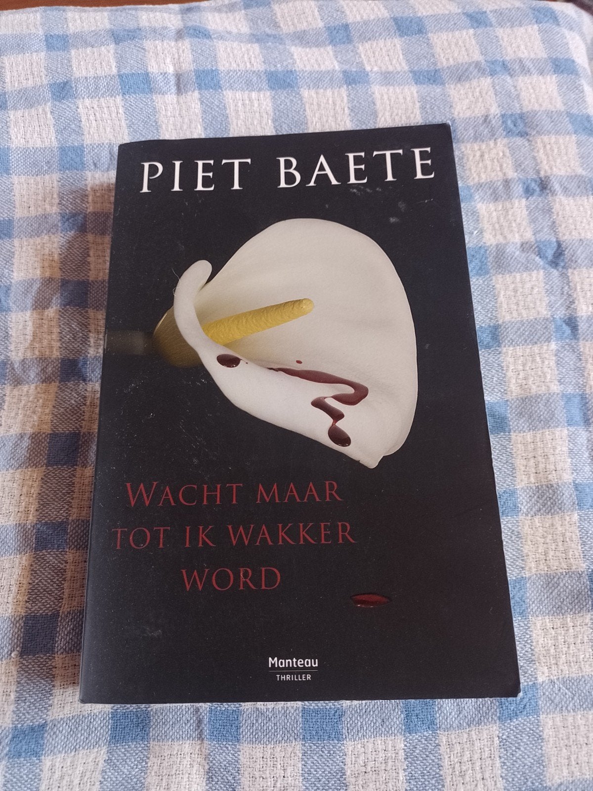 Piet Baete - Wacht maar tot ik wakker word, Boeken, Ophalen of Verzenden, Piet Baete