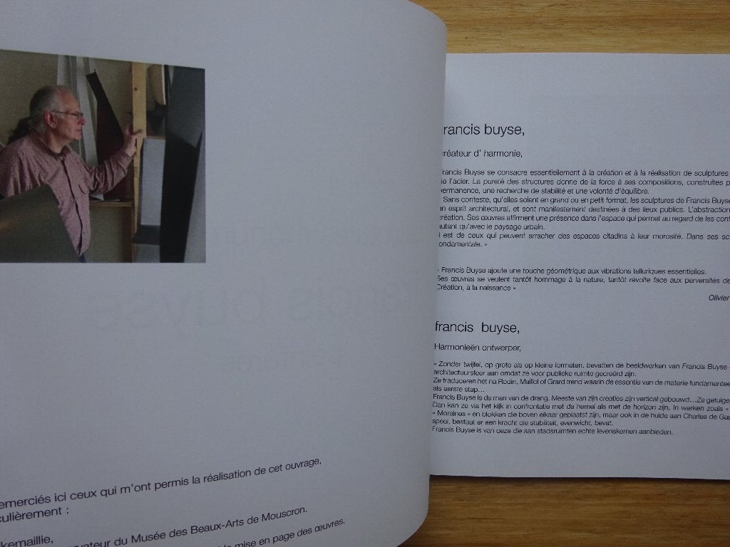 Francis Buyse - Sculptures, peintures, 2005 signed, Ophalen of Verzenden, Nieuw, Schilder- en Tekenkunst