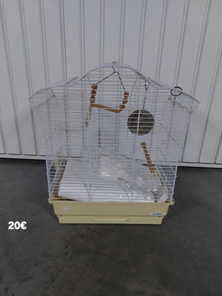 Cage oiseaux, Enlèvement