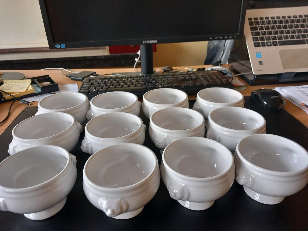 12 witte kommetjes met leeuwenmotief, Ophalen