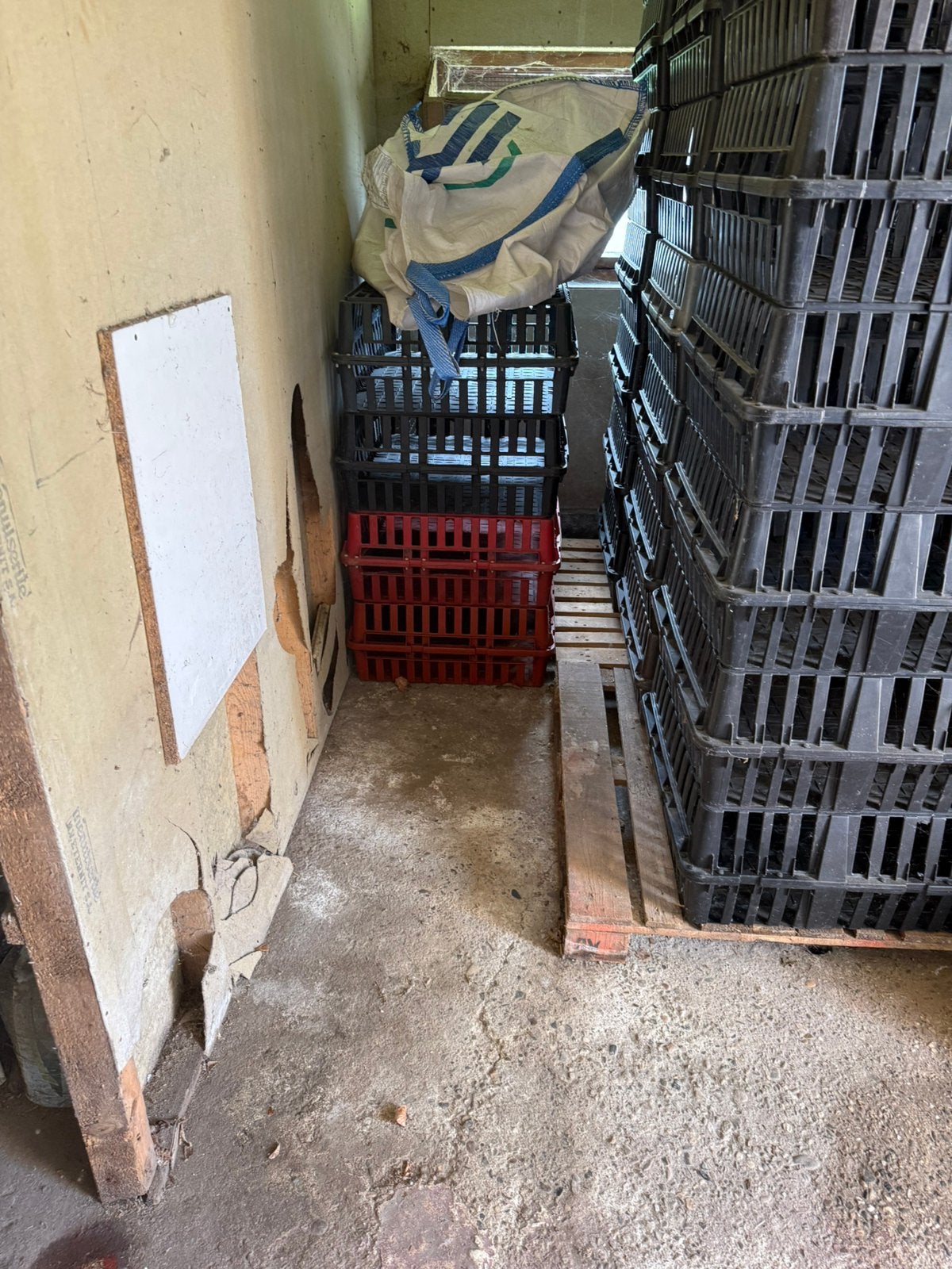 Kippen bakken, Dieren en Toebehoren, Ophalen