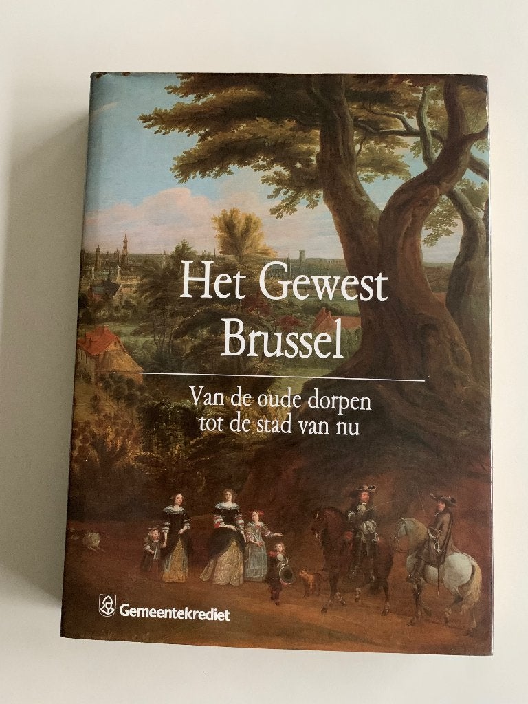 Het Gewest Brussel Van de oude dorpen tot de stad van nu, Boeken, Ophalen of Verzenden, Zo goed als nieuw