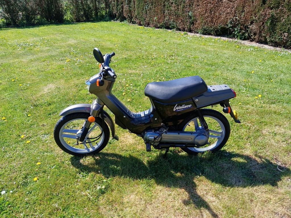 Honda wallaroo Klasse A luxe, Fietsen en Brommers, Brommers | Tomos