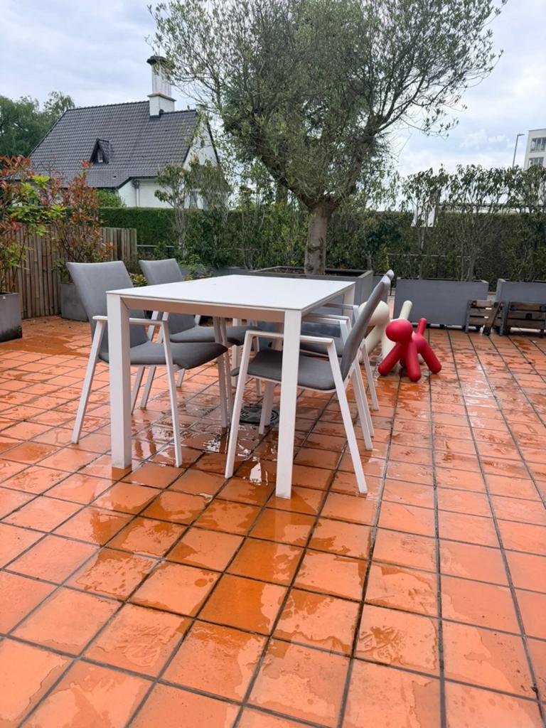Bristol tuinset met stoelen, Ophalen