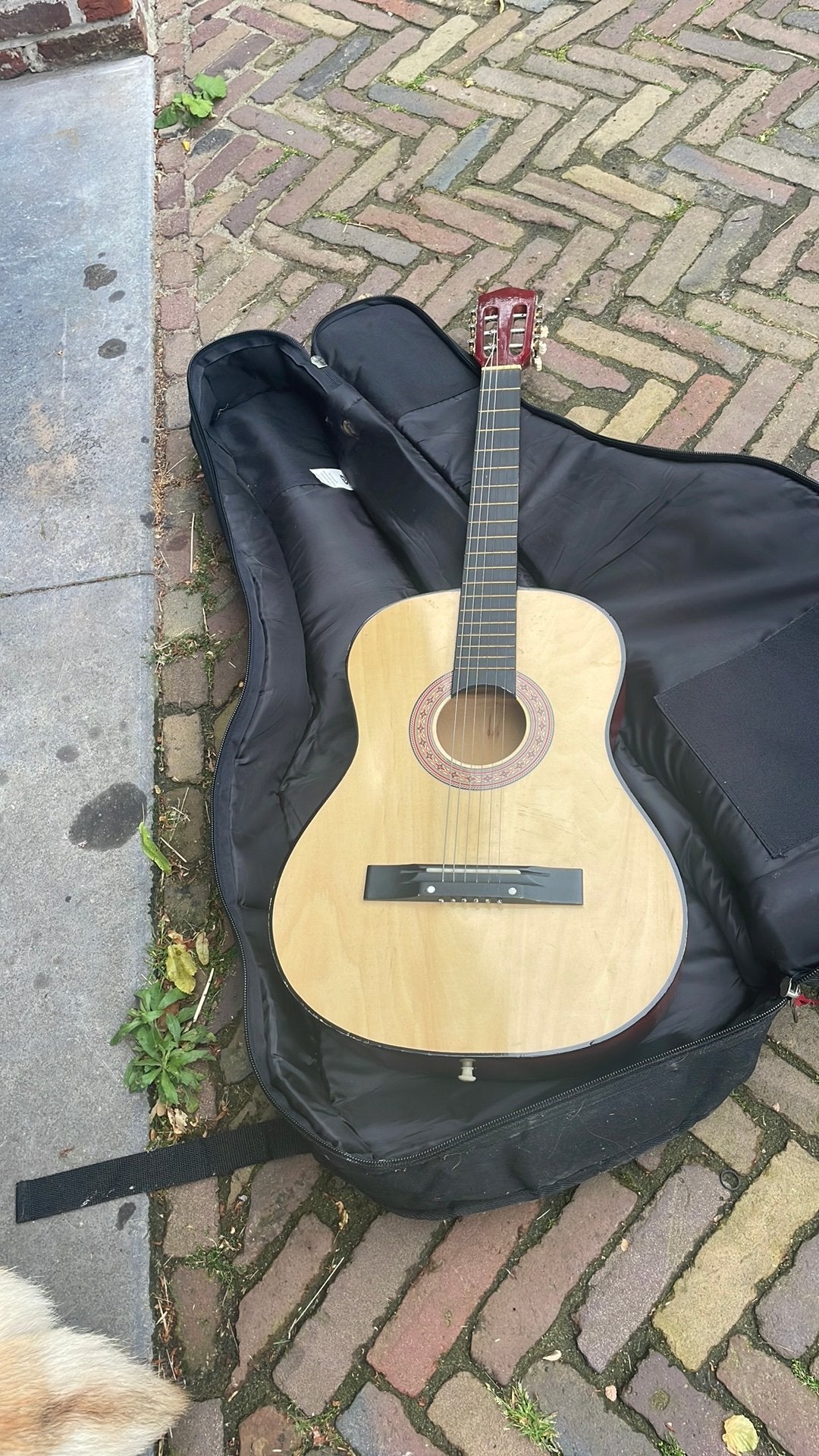Gitaar + zak merk Ritter, Ophalen, Gebruikt