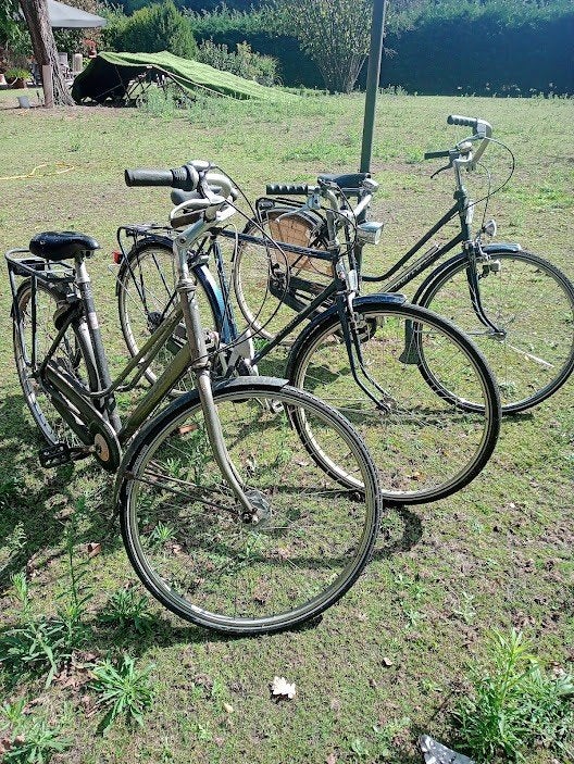 3 fietsen 70€ 2 x damesfiets 1 x herenfiets., Ophalen, Gebruikt, Giant, Versnellingen
