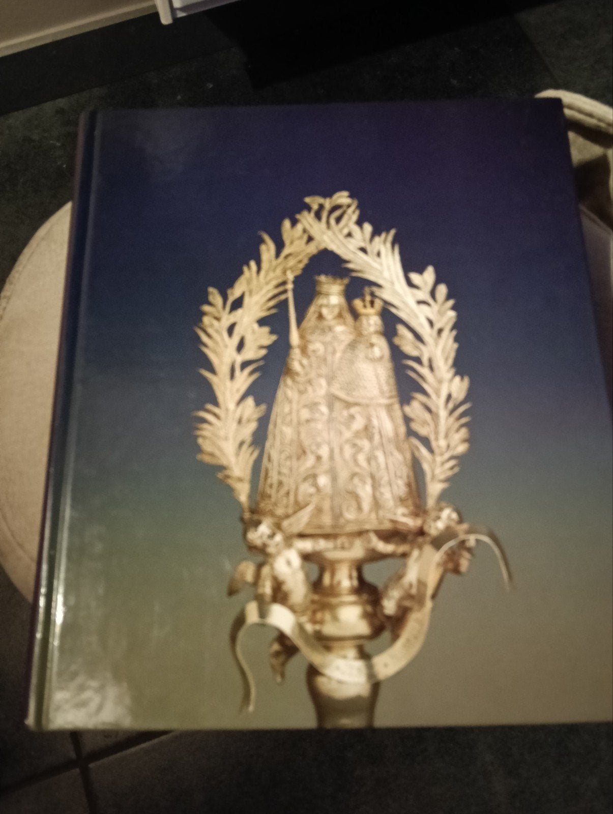 virga Jesse de schat van de Hasselaar, Ophalen of Verzenden, Zo goed als nieuw