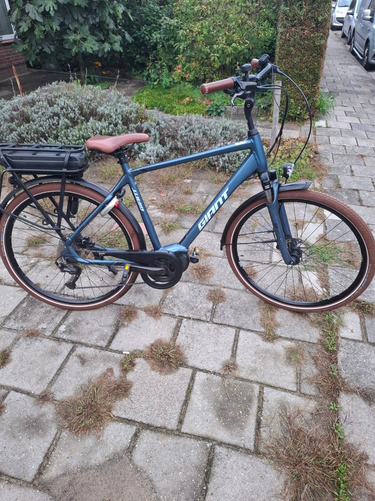giant entour elektrische herefiets, Ophalen, Giant
