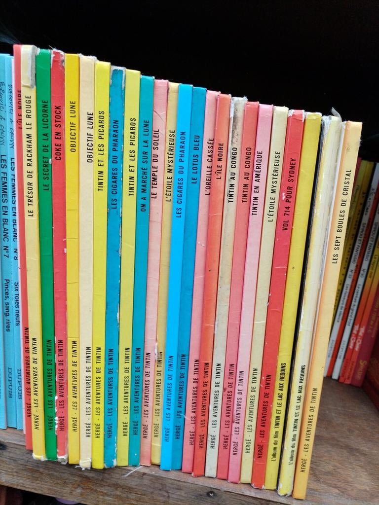Lot bd tintin, Livres