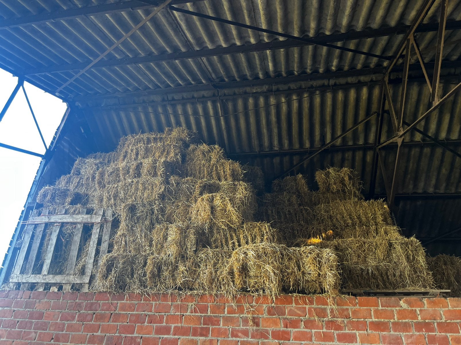 Botjes hooi, Dieren en Toebehoren
