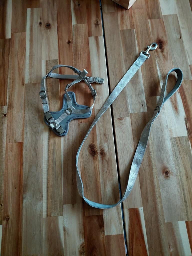 harnais pour chien, Enlèvement, Neuf