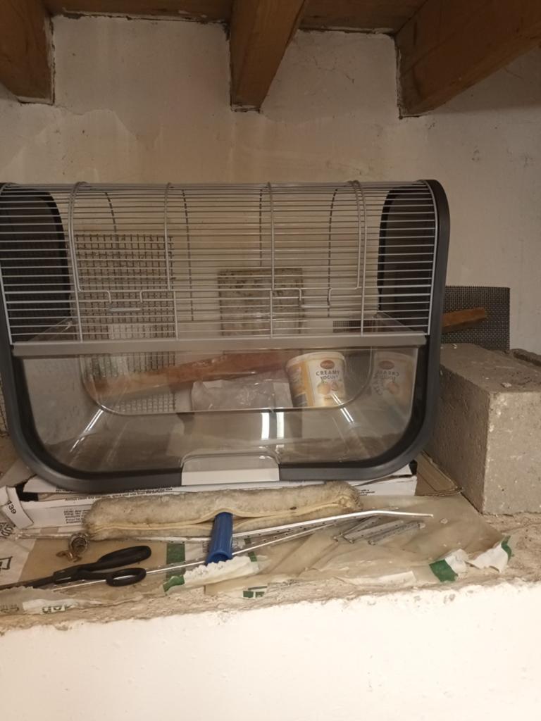 Dierenkooien  gratis, Enlèvement