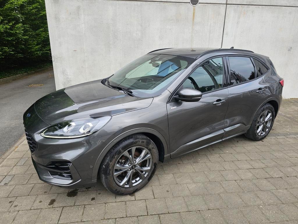 Ford kuga ST-line X 2.5 FHEV, Auto's, Euro 6, 4 cilinders, Alcantara, 2498 cc