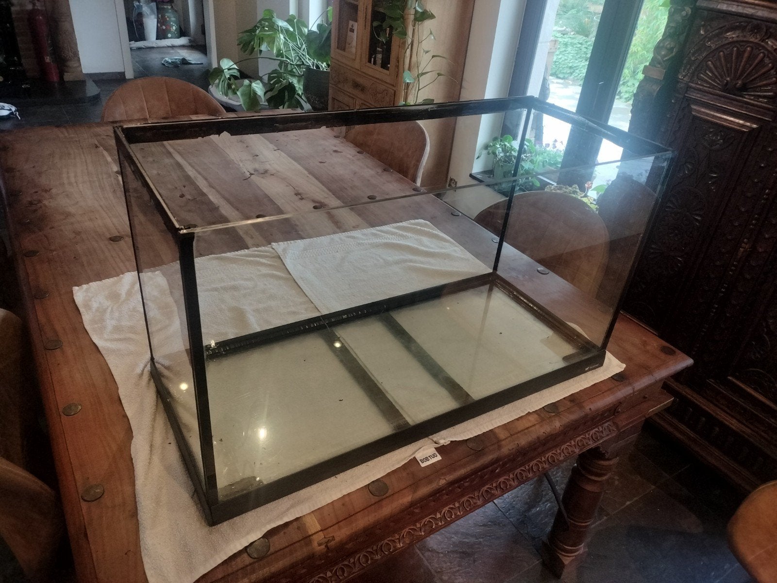 aquarium, Animaux & Accessoires, Enlèvement
