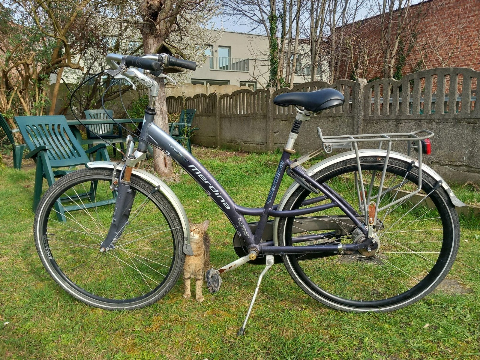 Velo femme, Enlèvement