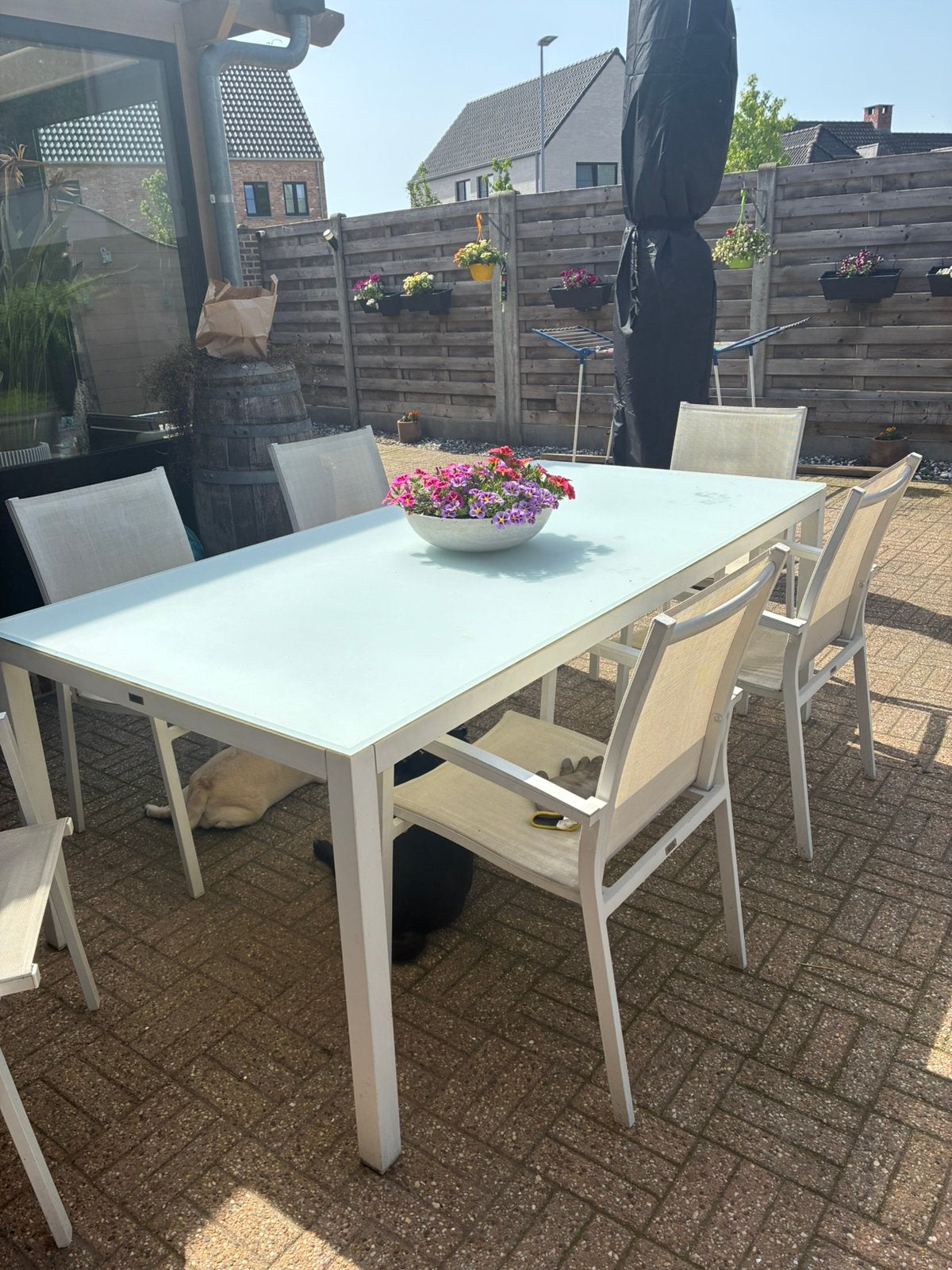 Tafel en 6stoelen (bristol), Jardin & Terrasse, Ensembles de jardin, Enlèvement, Utilisé, Salons de jardin