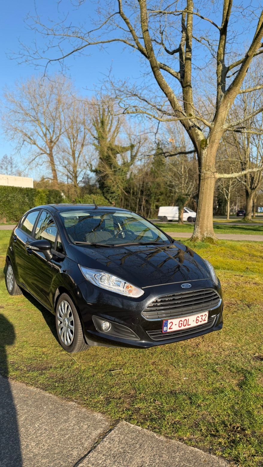 Ford fiesta, Auto's, Bedrijf, Fiësta, Te koop, Benzine