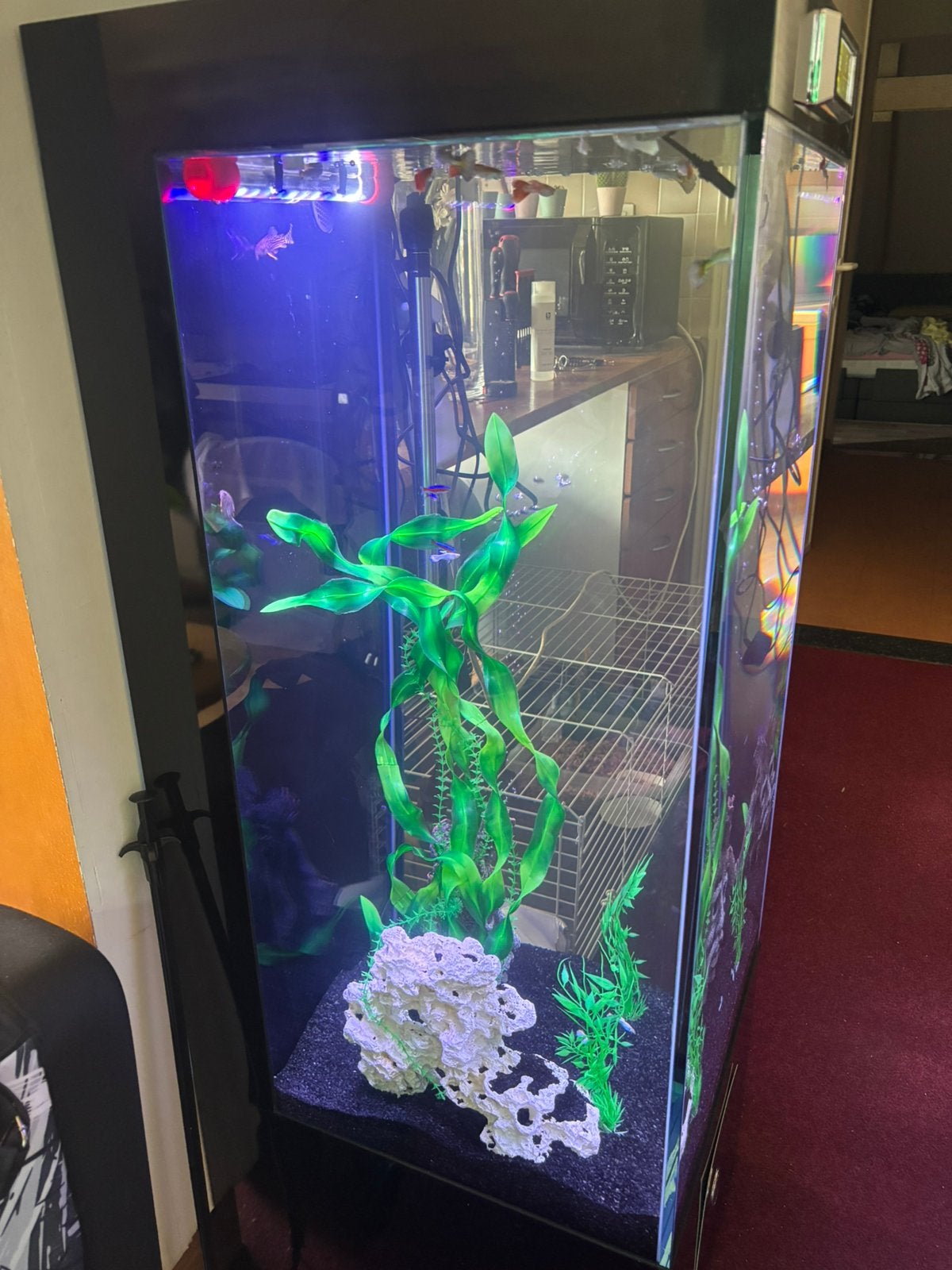 Grote mooie en super simpel te kuisen verticale aquarium, Ophalen, Zo goed als nieuw