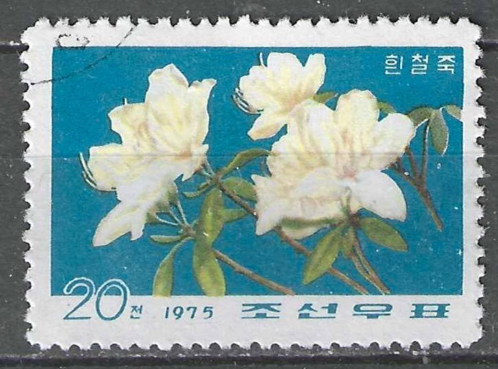 Noord-Korea 1975 - Yvert 1338 - Azalea - 20 ch. (ST), Verzenden, Gestempeld