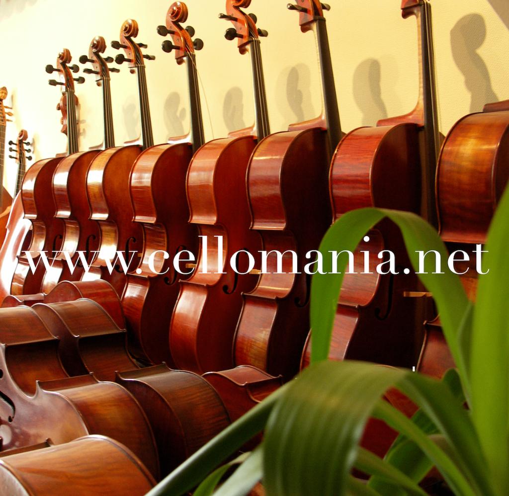 Violoncelle - Location : Tailles 4/4 7/8 3/4 1/2 1/4 1/8, Musique & Instruments, Enlèvement ou Envoi, Neuf, Violoncelle 4/4, Avec valise