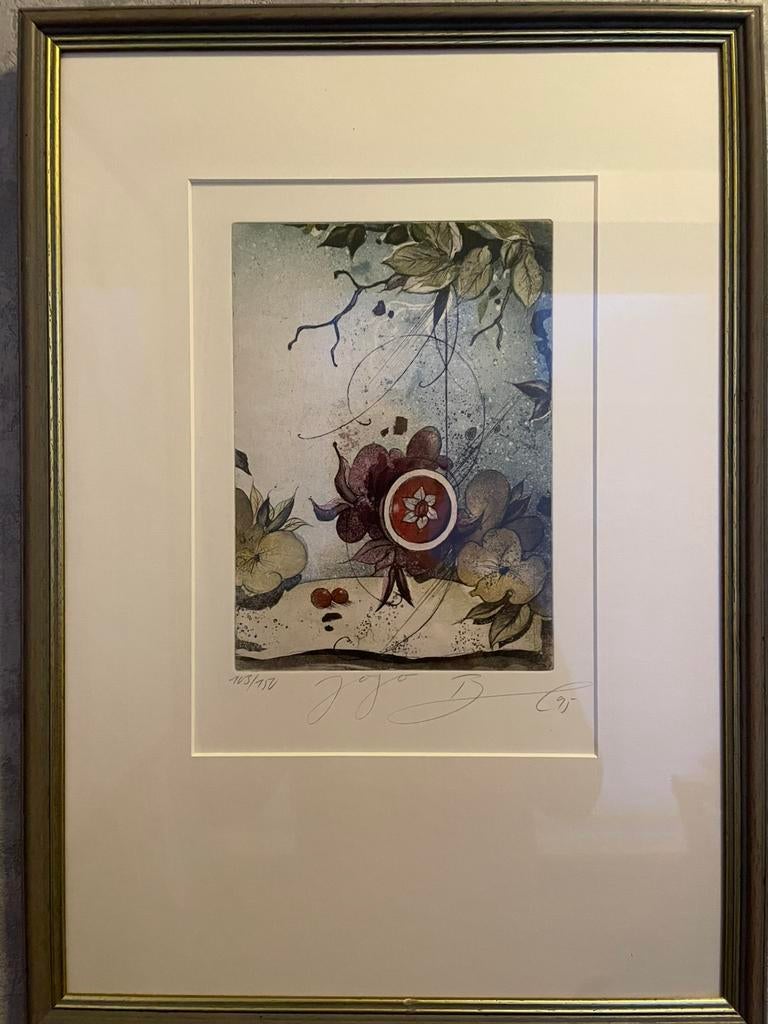 2 Mooie kleur etsen van Rüdiger Brassel, gesigneerd, Ophalen