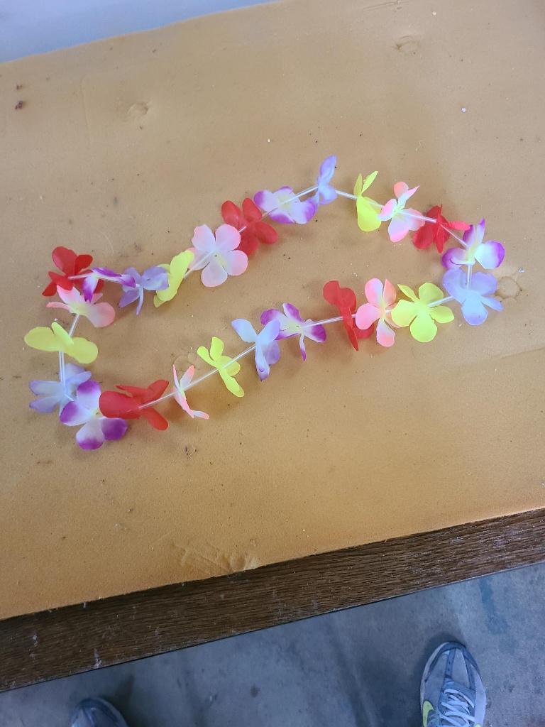 hawai krans, Hobby en Vrije tijd, Feestartikelen, Ophalen of Verzenden, Zo goed als nieuw, Feestartikel