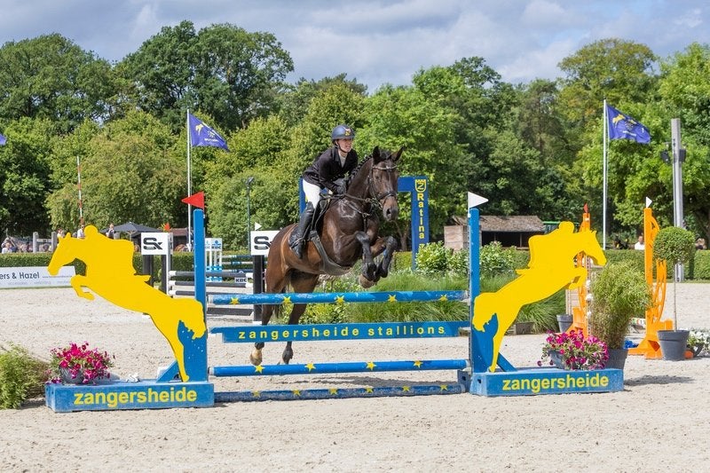 Sport paard., Contacts & Messages, Appels Sport, Hobby & Loisirs