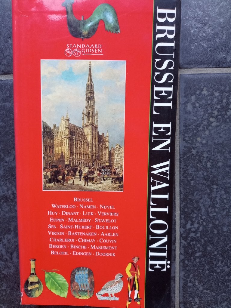 REISGIDS BRUSSEL EN WALLONIË - PRIMA STAAT, Livres, Guide ou Livre de voyage, Enlèvement ou Envoi, Comme neuf, Benelux