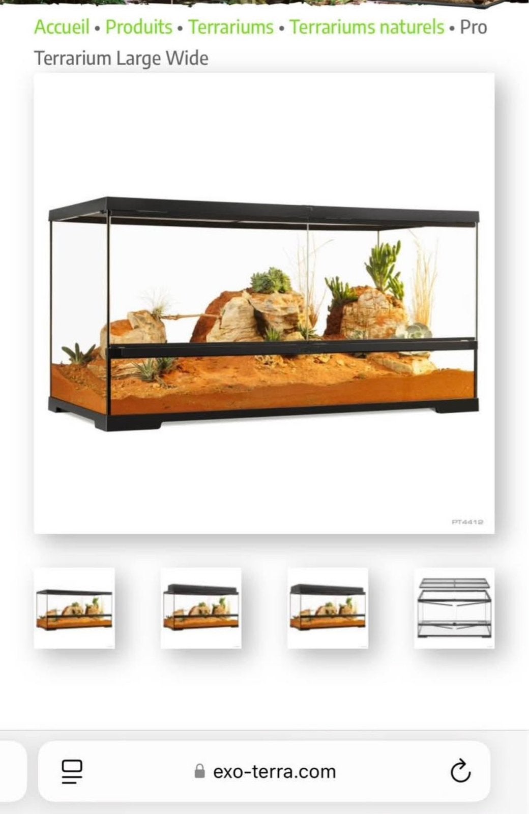 Gecko Leopard + terrarium et accessoire, Enlèvement, Utilisé, Terrarium ou Paludarium