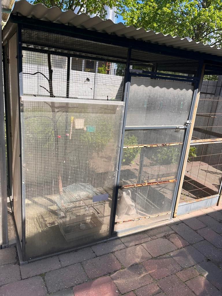 Vogelkooien te koop